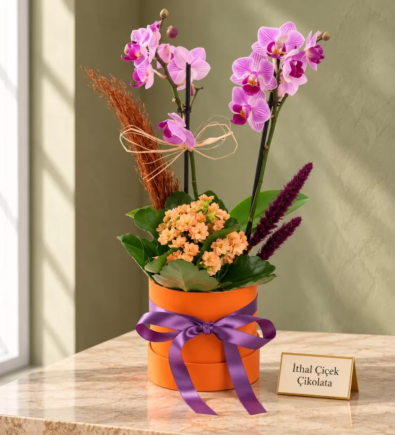  Turuncu Kutuda Mini Mor Orkide & Turuncu Kalanchoe