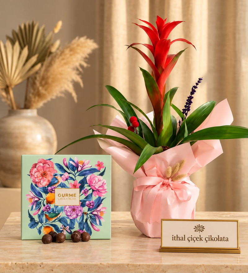 Pembe Buket Kağıdında Guzmania ve Gurme Lezzetler